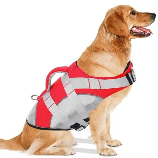 Chaleco Salvavidas Premium para Perro