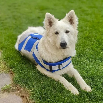 Chaleco Salvavidas Premium para Perro