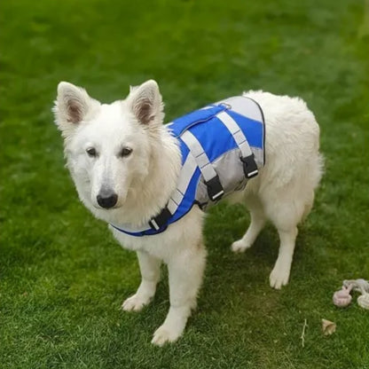 Chaleco Salvavidas Premium para Perro