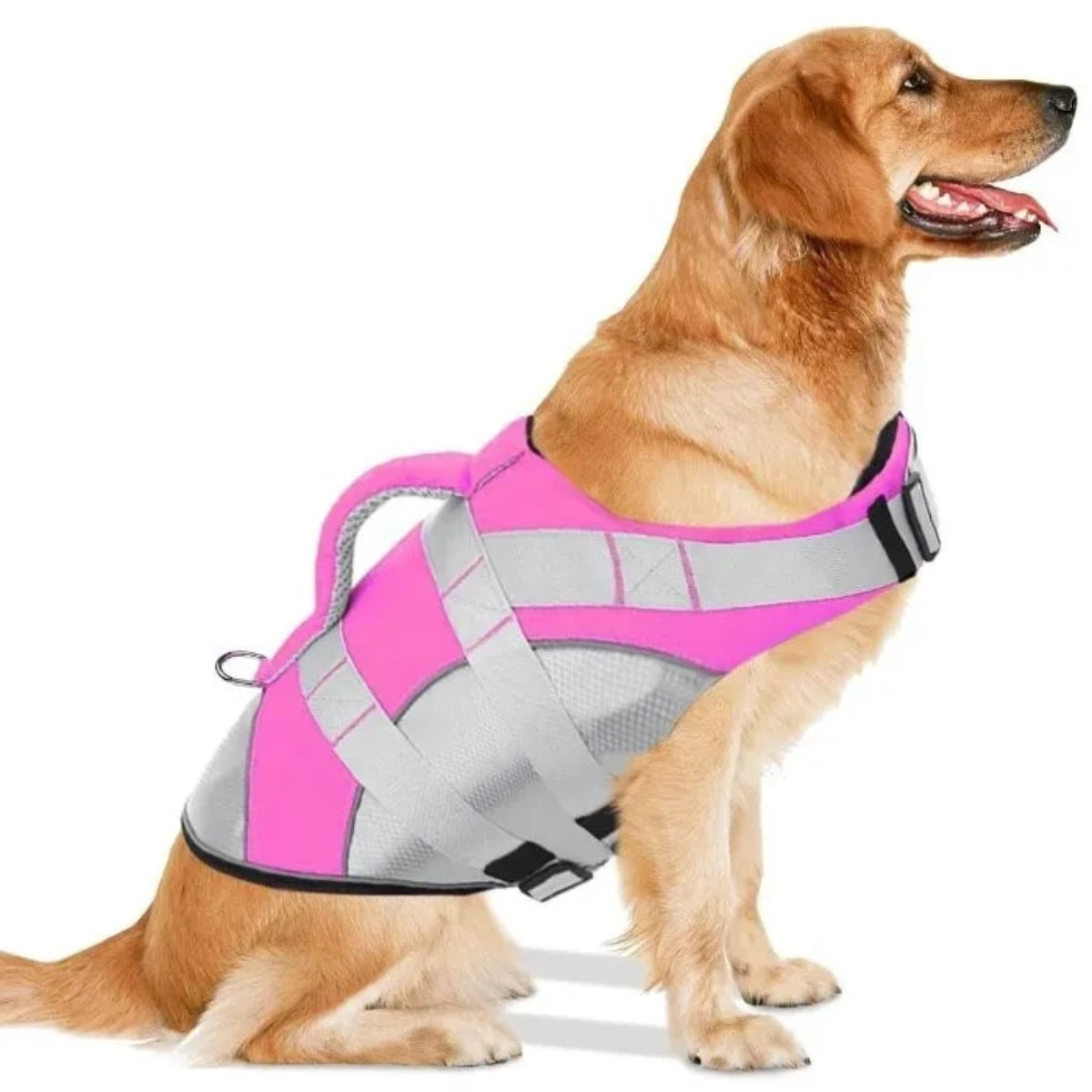 Chaleco Salvavidas Premium para Perro