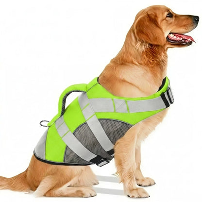 Chaleco Salvavidas Premium para Perro
