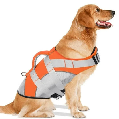Chaleco Salvavidas Premium para Perro