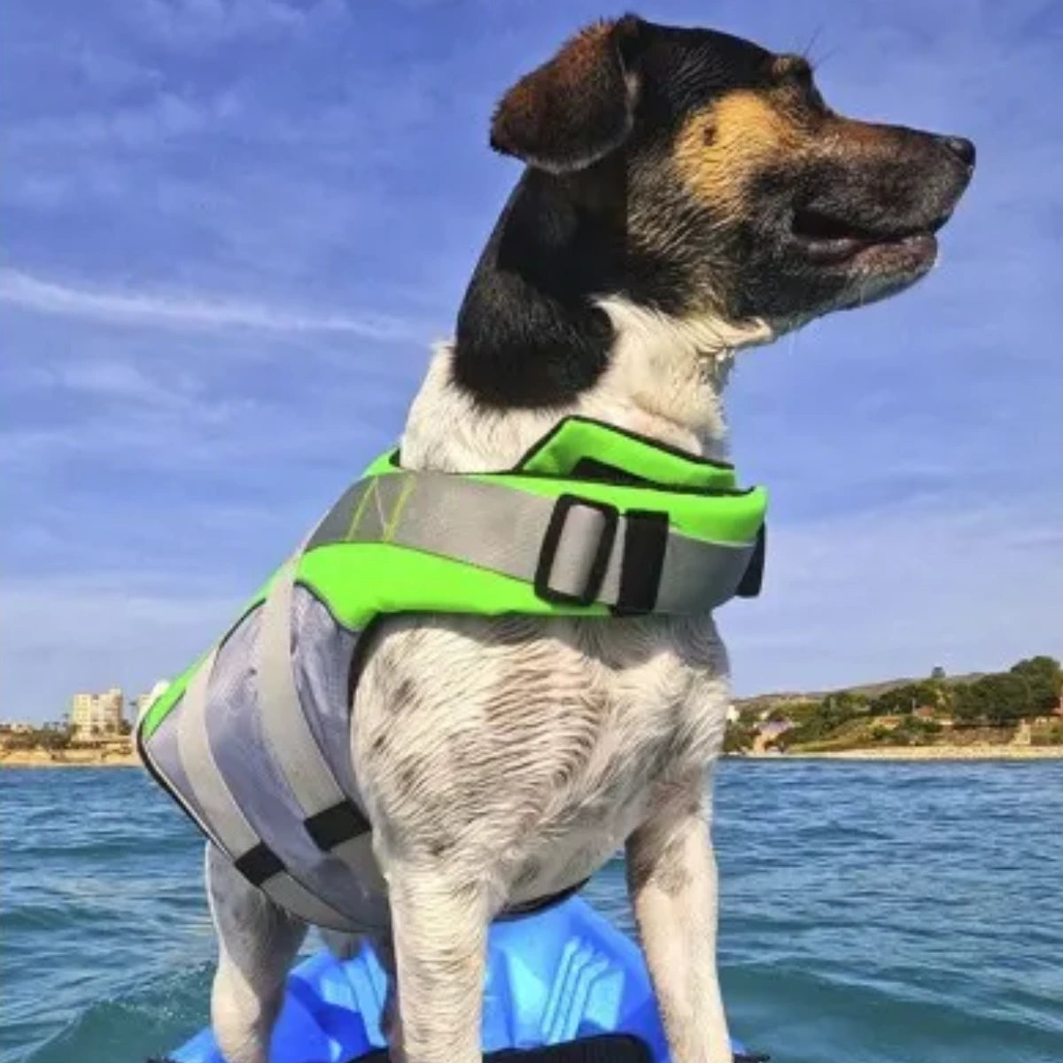 Chaleco Salvavidas Premium para Perro