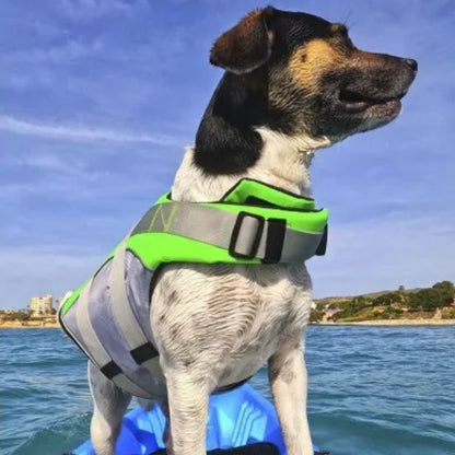 Chaleco Salvavidas Premium para Perro